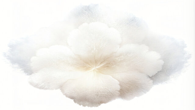 Cotton swabs on white with a floral cloudy sky backdrop