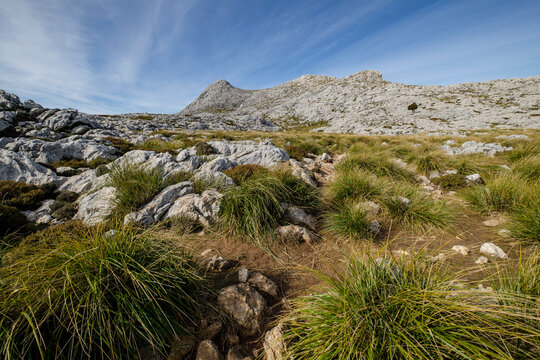 Masanella peak, Sierra de Tramontana, 1364 meters, municipality of Escorca, Mallorca, Balearic Islands, Spain