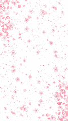 Fototapeta premium Cherry blossom isolated on white. AI generated art illustration.