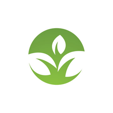  green Tree leaf ecology nature logo element vector image