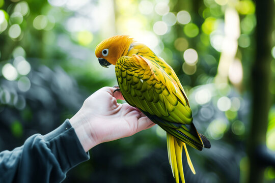 zoo volunteer holding a parrot for visitors to pet
