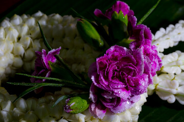 flower garland.Fresh Thai Flower Garland.