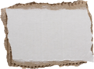 piece of white paper tear isolated on white background