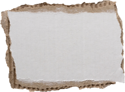piece of white paper tear isolated on white background