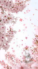 Cherry blossom isolated on white. AI generated art illustration.
