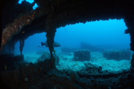 Scuba Diving West Palm Beach and Jupiter Florida.
Underwater pictures. 