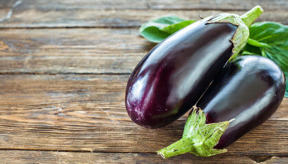 Eggplant, copyspace on a side