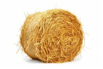 Round hay bale isolated on white background