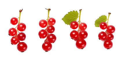 Red Currant Collection: Fresh, Organic Berries Isolated on Transparent Background for Healthy Food Concepts, Top View Nutrition Art
