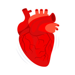 Human heart. The heart with the venous system. Cardiology, anatomy concept. Vector illustration - obrazy, fototapety, plakaty