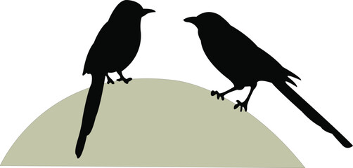 two magpie, black color silhouette vector