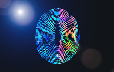 Digital fingerprint scanning verification process