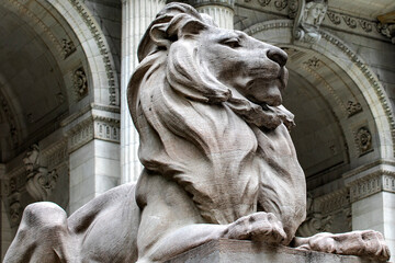 On the right we find the lion Patience, guarding the public library of New York, one of the most...