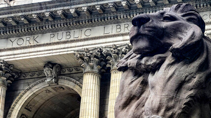 To the right of the entrance we find Fortaleza the lion, guarding the New York Public Library, one...