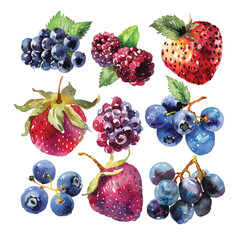 simple vector watercolor set of mix berry fruits