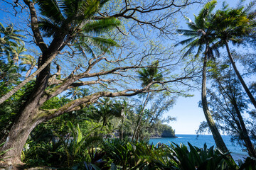 Waterfront adjacent to the Big Island Botanical Garden, Hawaii