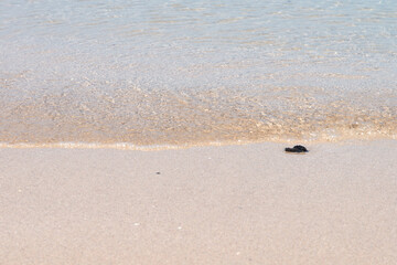 Transparent seawater at the sand beach in Udo Island