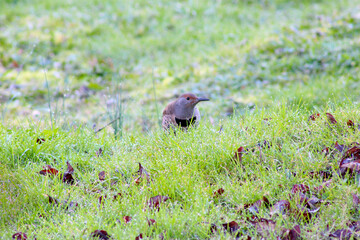 Waterdrop Flicker 02