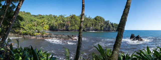 Panoramic view of the waterfront adjacent to the Big Island Botanical Garden, Hawaii 