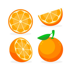 Collection of fresh oranges. Orange fruit isolated on white background. Vector illustration
