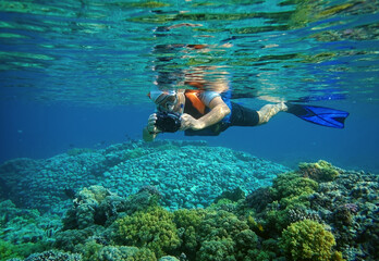 person snorkeling in a reef