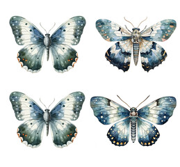 set of watercolor illustrations with butterflies, moths
