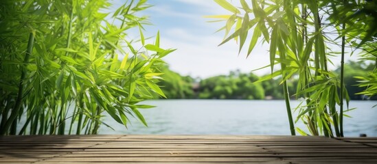 A wooden deck by a serene body of water is covered with lush bamboo leaves, creating a tranquil...