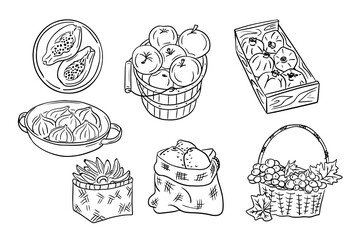 Sketchy hand drawn contour set of fruit groups. Doodle black outline fruits in basket, sack, on plate on white background. Ideal for coloring pages, tattoo, pattern