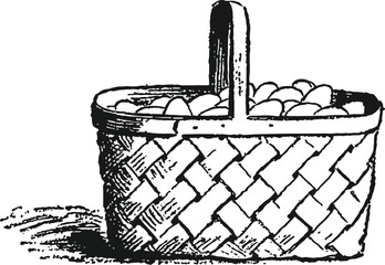 A basket of eggs vintage illustrations