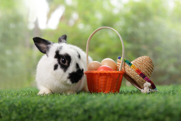 A cute white and black striped rabbit sits on the grass with a basket of eggs lying nearby. Easter festival. pet concept