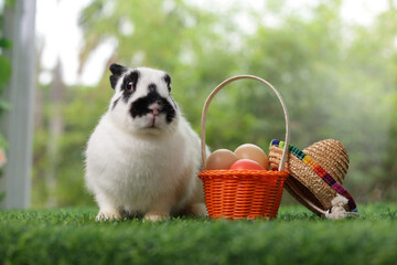 A cute white and black striped rabbit sits on the grass with a basket of eggs lying nearby. Easter...