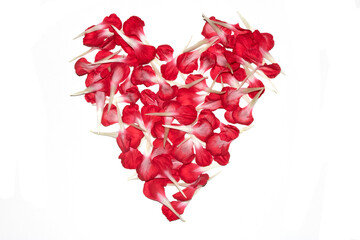 Red Flower Petals in the shape of a Romantic Love Heart on White Background