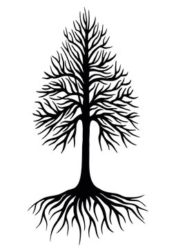 Tree crown with roots, vector tree silhouette
