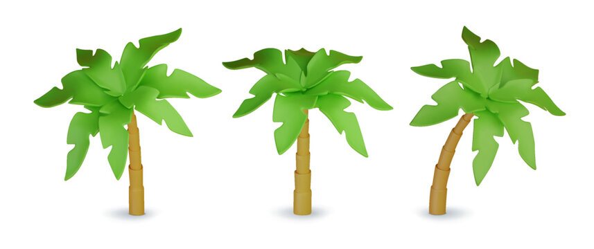 Set of 3D cartoon tropical palm trees. Minimal realistic jungle trees on white background. Vector illustration