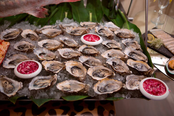 Oysters on ice at buffet