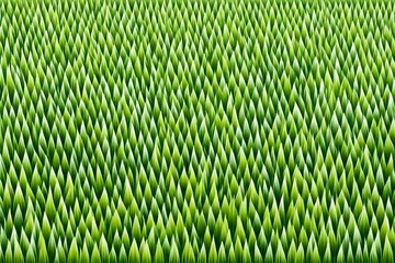 Backgrounds Of Green Grass, Isolated On White Background, Vector Vector illustration of a green...