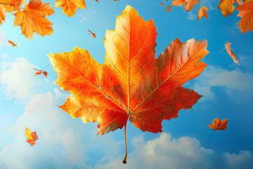  autumn leaves against blue background
