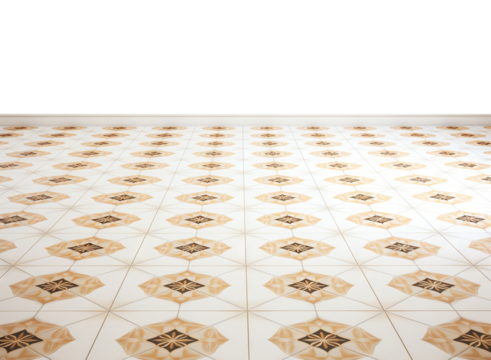 Expansive tiled floor with intricate geometric patterns, cut out