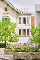 Old ancient european town decorated with blooming flowers during springtime - 745993638