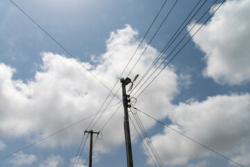 View of the electric pole with the cables