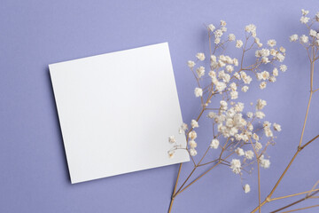 Square paper card mockup with copy space, top view with dry gypsophila flowers