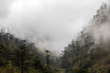 Misty foggy mountain landscape with majestic view on beautiful fog mountains in mist landscape in...