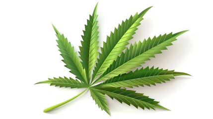 Vibrant Cannabis Leaf, Green Foliage Against a Clean White Background - obrazy, fototapety, plakaty
