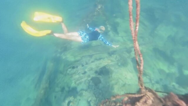 woman free diving in clear blue waters, surrounded by marine life of Chinese wreck dive site in Oman in Mirbat town of Dhofar region.