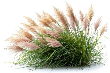 ornamental grasses sway gracefully, adding beauty and texture to the landscape.