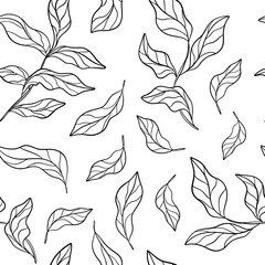 Abstract outlined branches seamless pattern. Vector foliage silhouettes. Botanical seamless background. Swatch