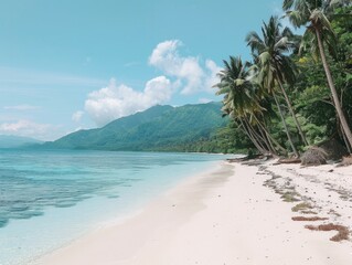 Fototapeta premium Picture of a white beach, beautiful clear blue sea