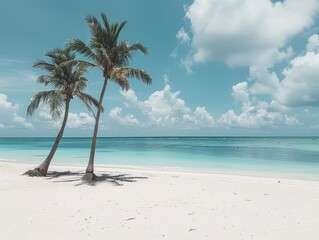 Picture of a white beach, beautiful clear blue sea, and 2 coconut trees