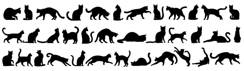 Collection of cat silhouettes in various poses isolated on background