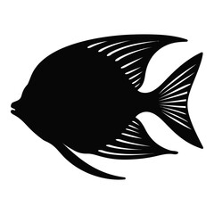 Angelfish silhouette. Angelfish black silhouette vector. Aquarium fish
